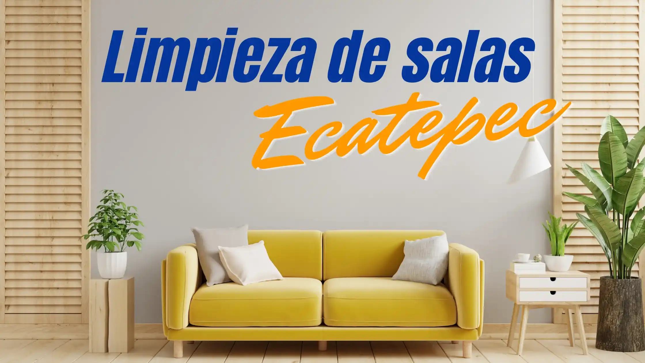 Lee más sobre el artículo Lavado de Salas en Ecatepec
